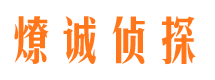 璧山市调查公司